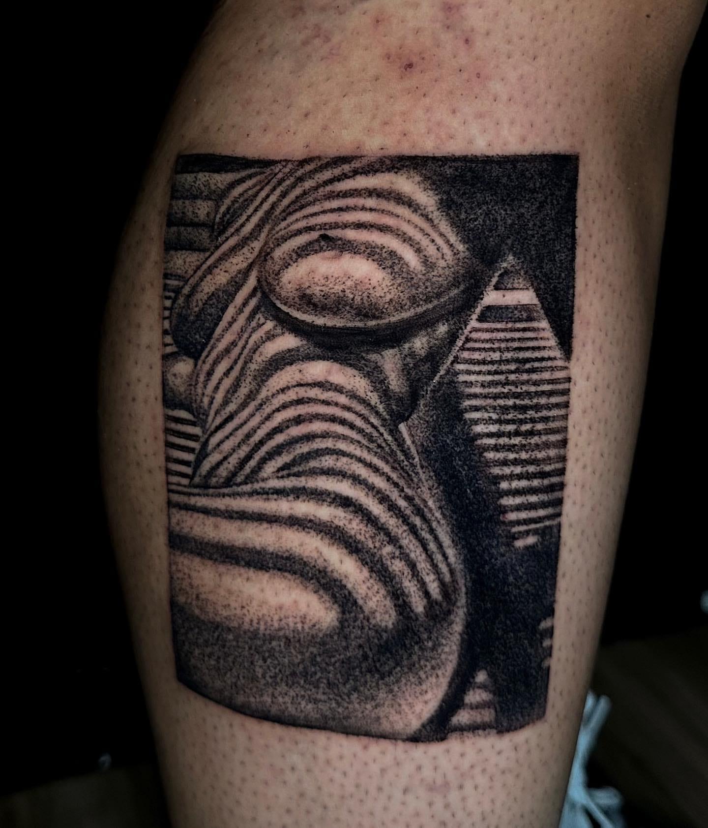 artist-profile