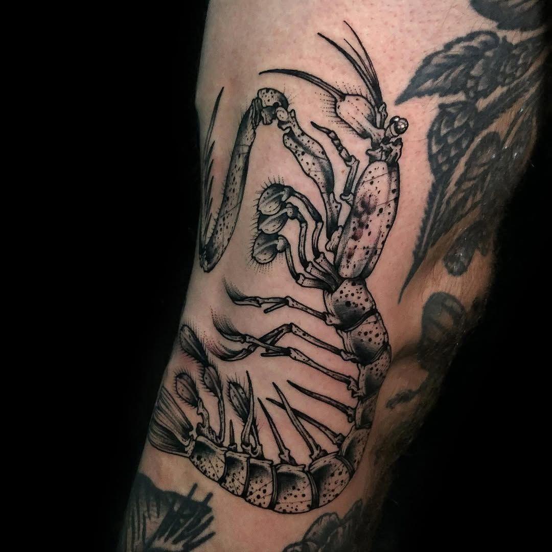 artist-profile