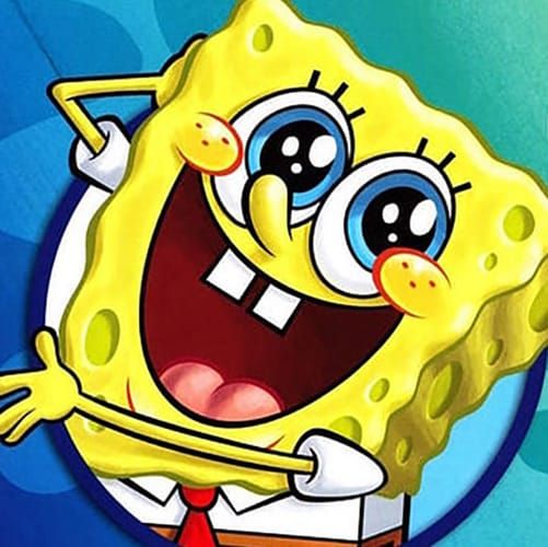 Maxime Plescia-Buchi