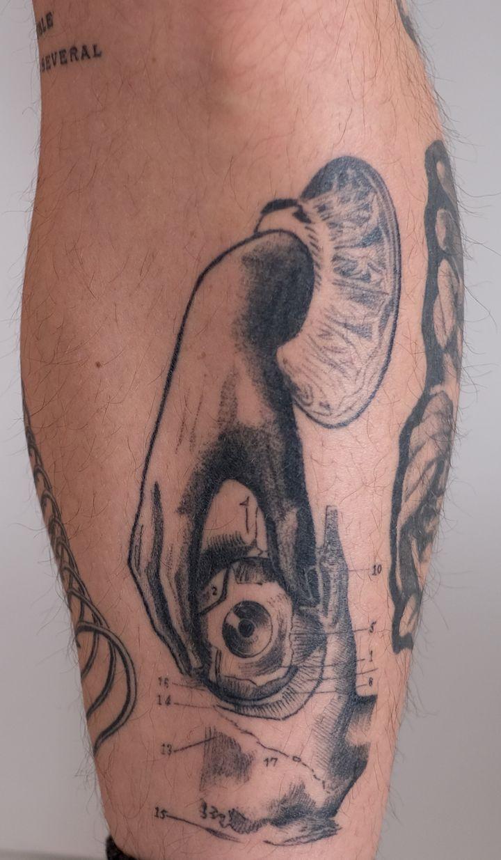 Portfolio 18