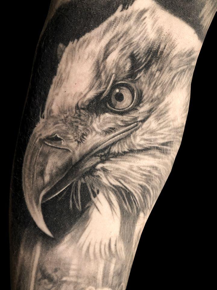 Portfolio 19