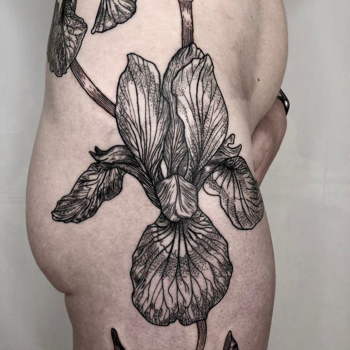 Portfolio 25