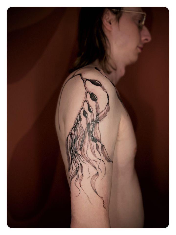 Portfolio 33