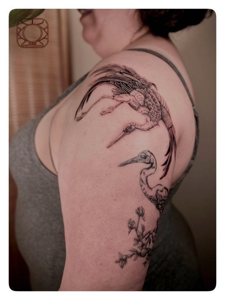 Portfolio 35