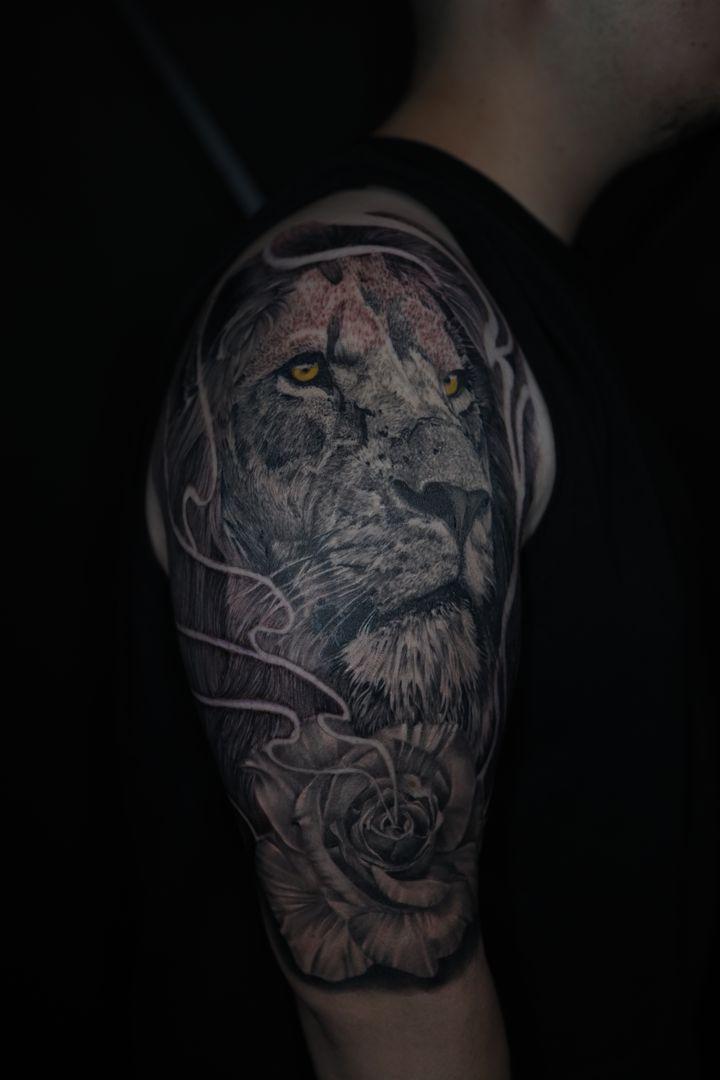 Portfolio 15