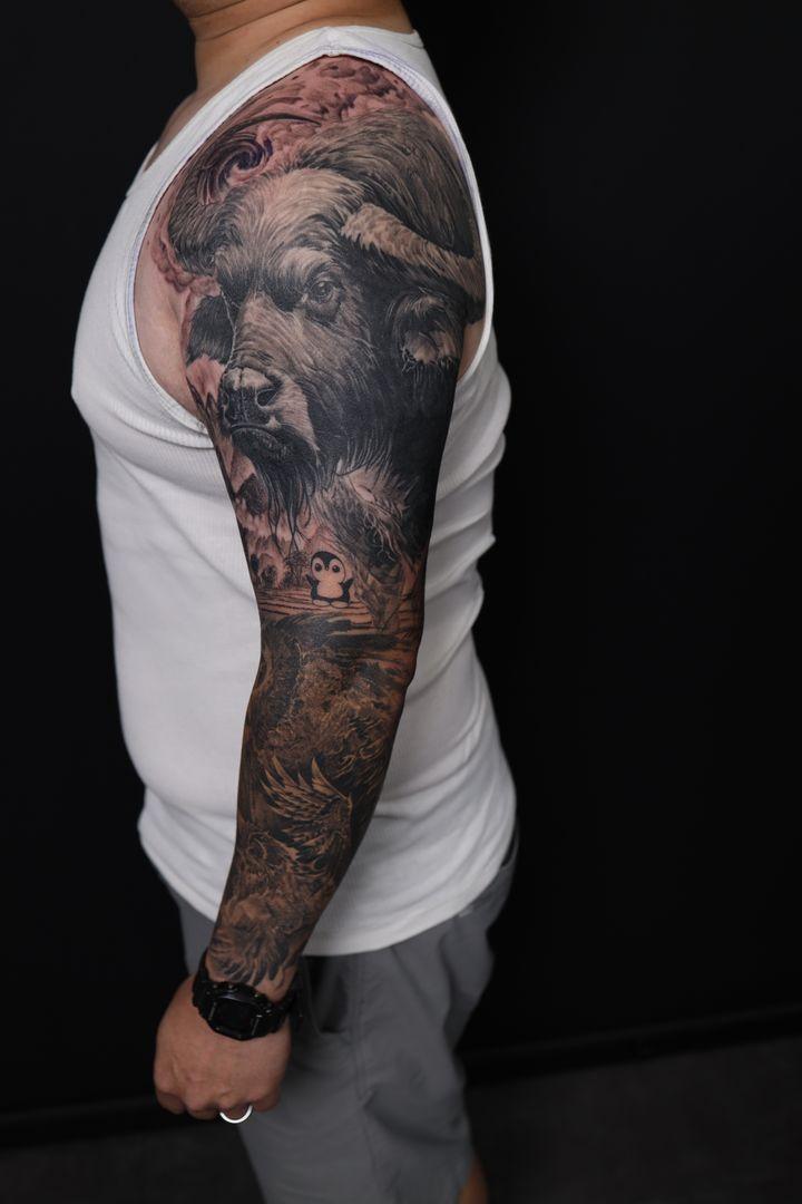 Portfolio 9