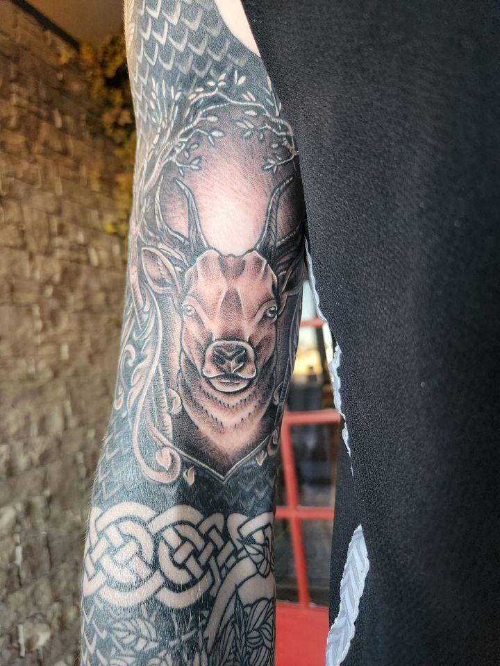 Portfolio 21