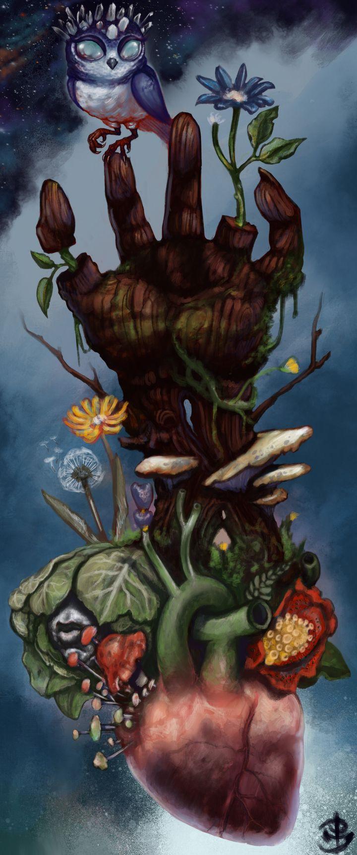 Portfolio 7