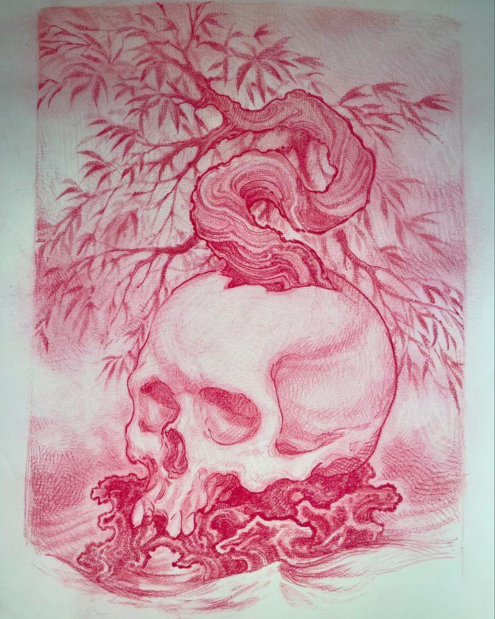 Portfolio 5