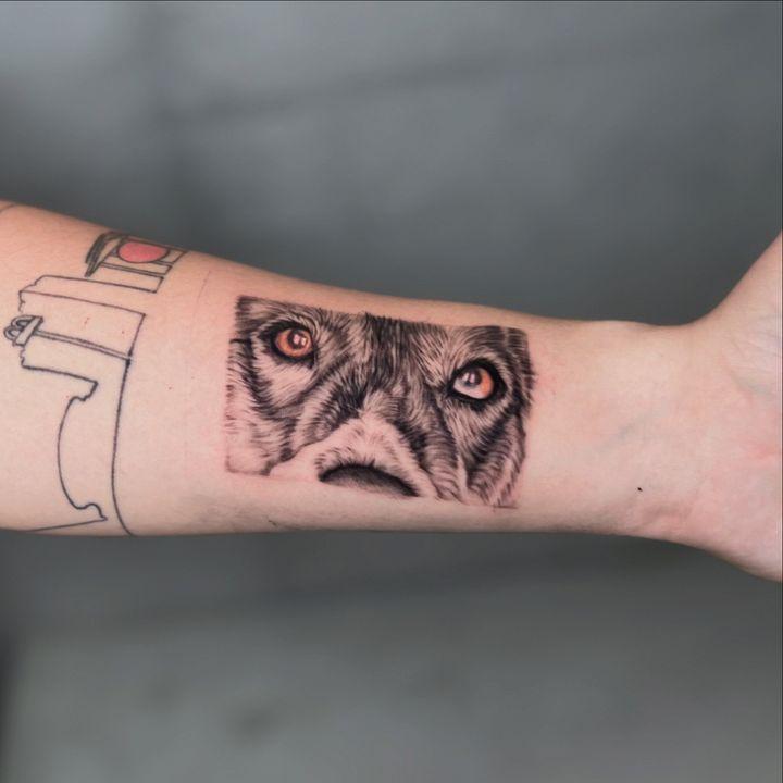 Portfolio 29