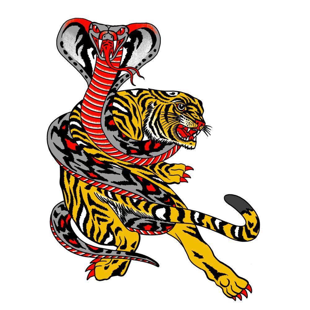 Snake vs Tiger