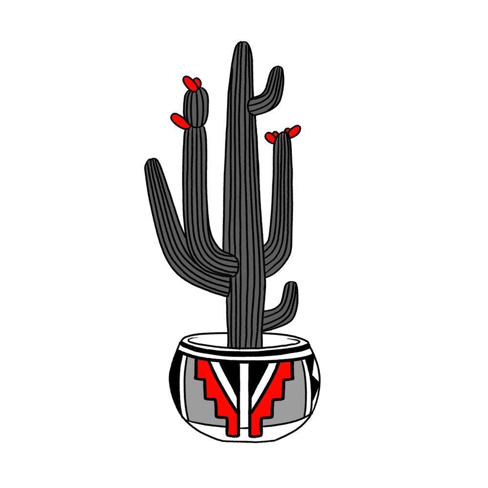 Potted Cactus