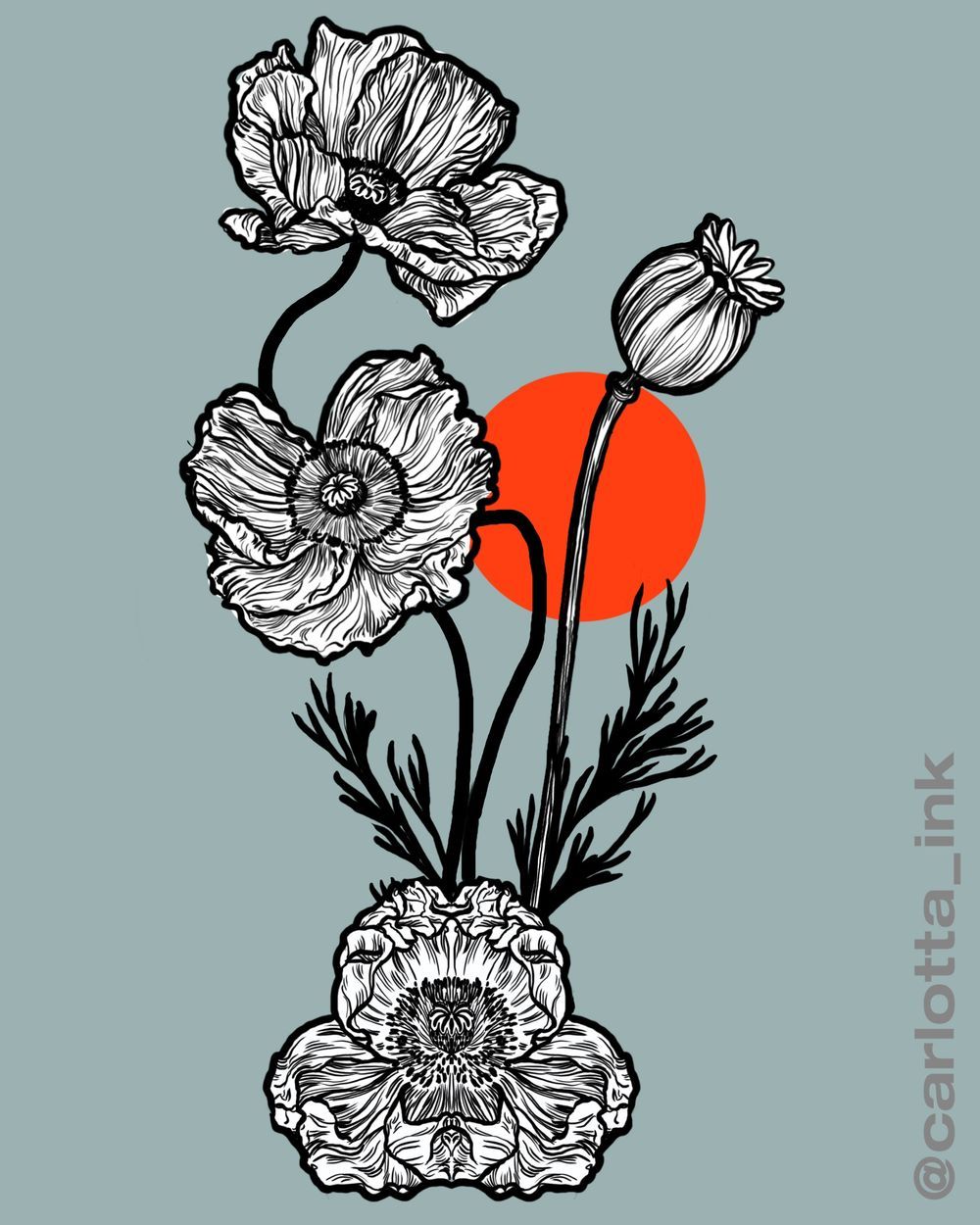 Poppies