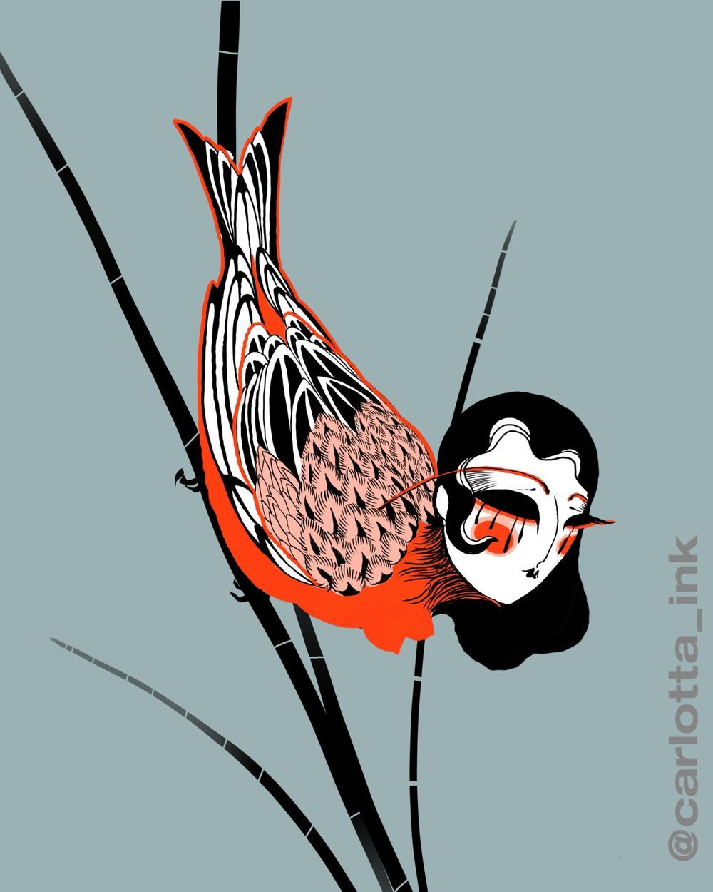 Harpy