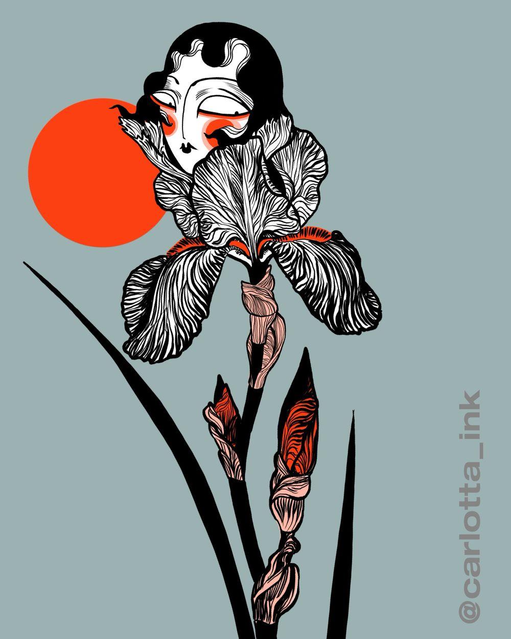 Iris