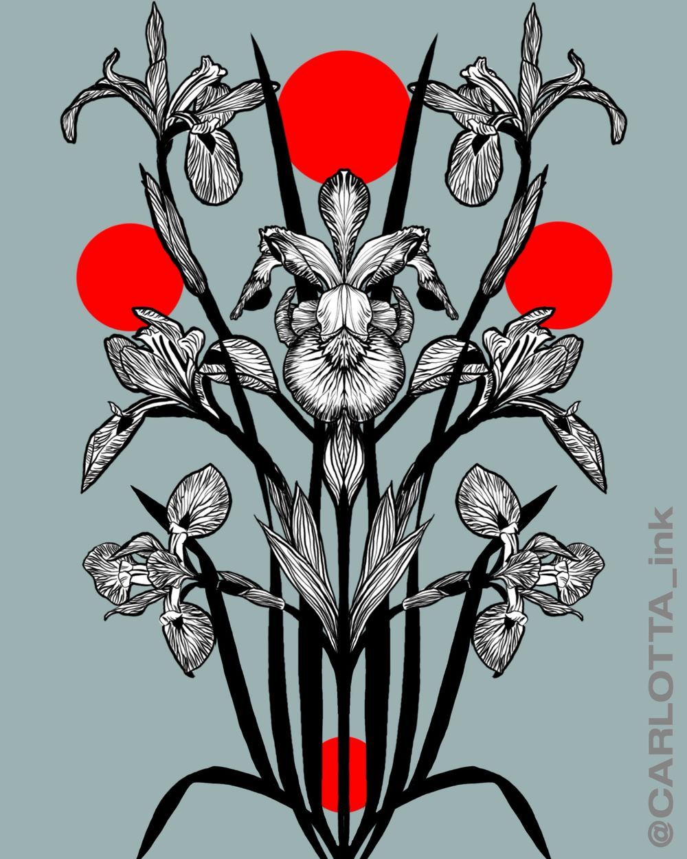 Back Iris
