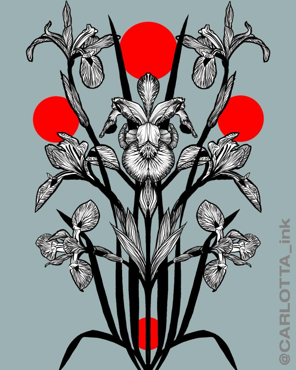 Back Iris