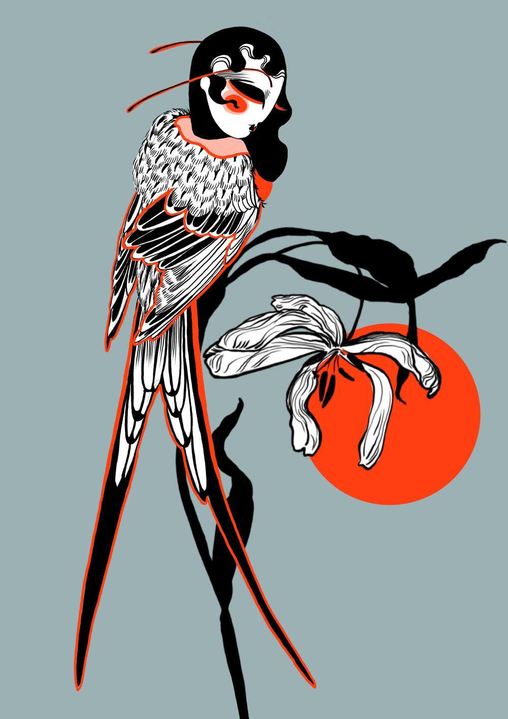 Harpy tulip