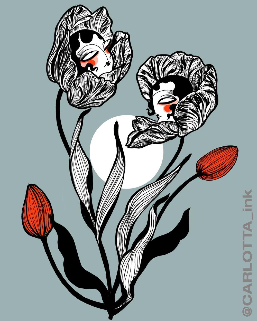 Tulips