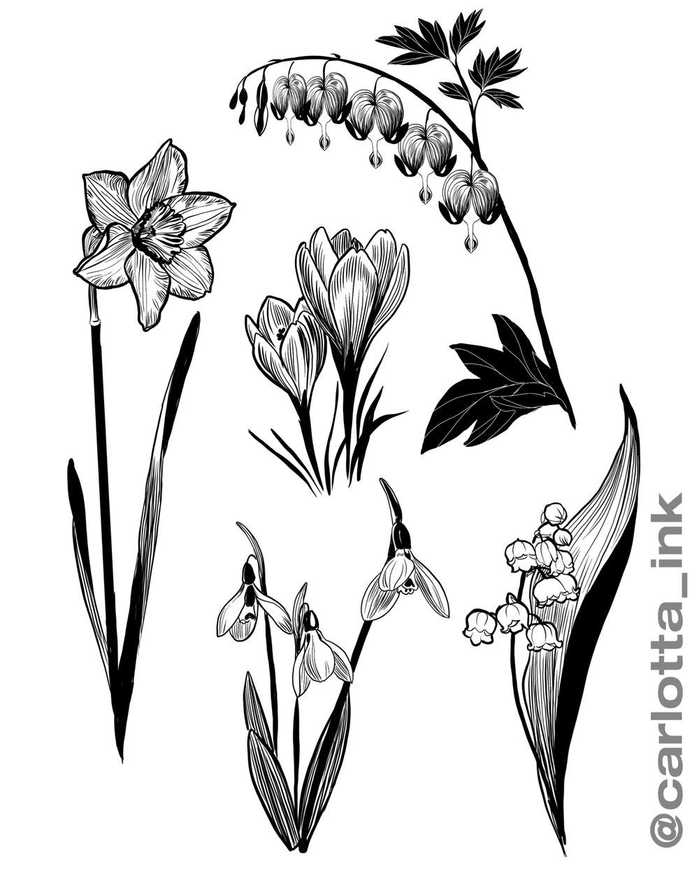 Poisonous plants