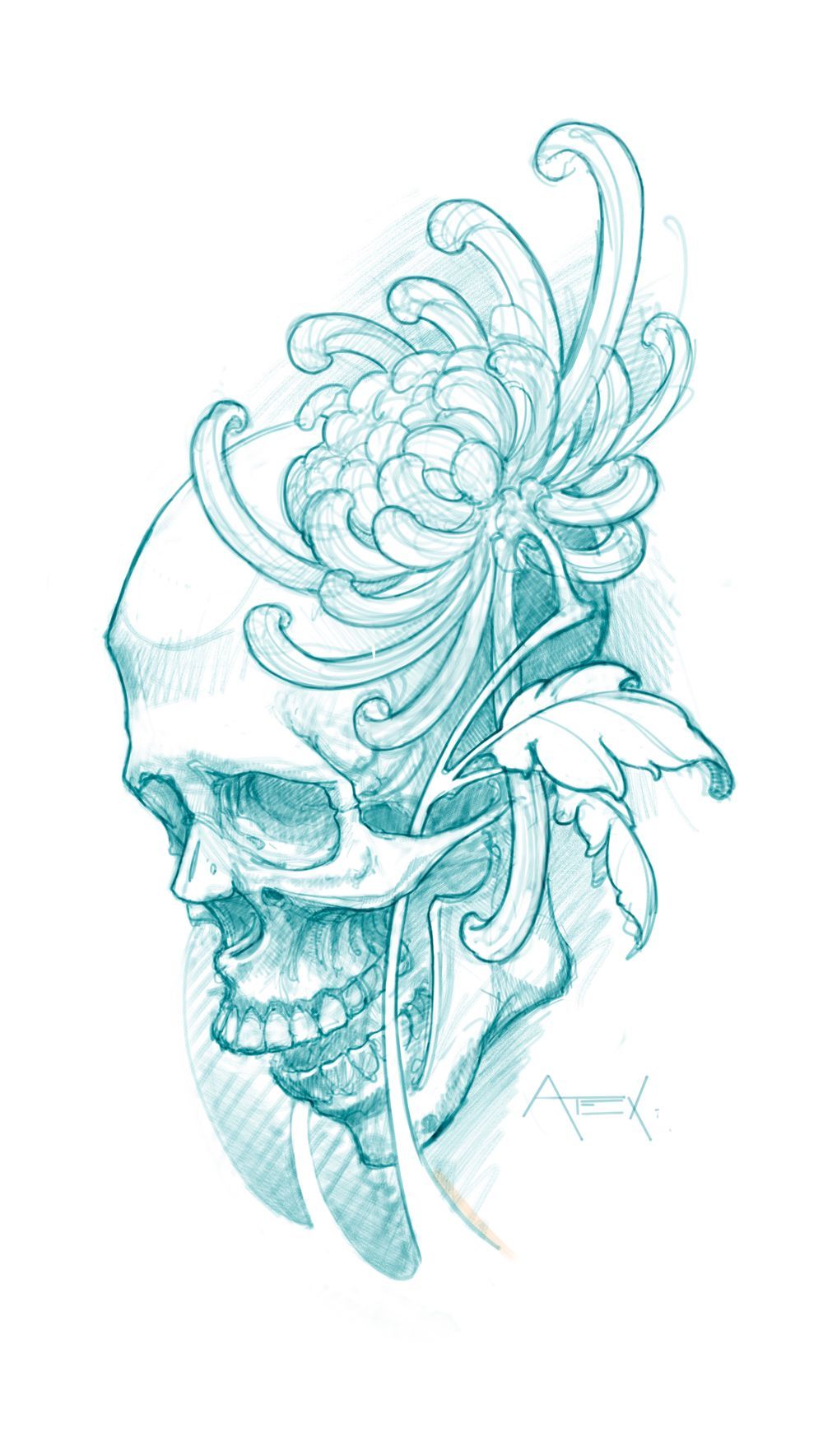 Skull and Chrysanthemum