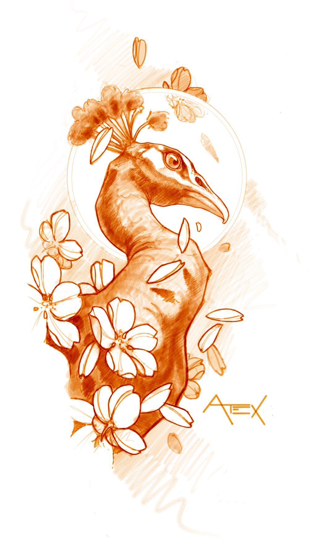 Peacock and Cherry Blossoms