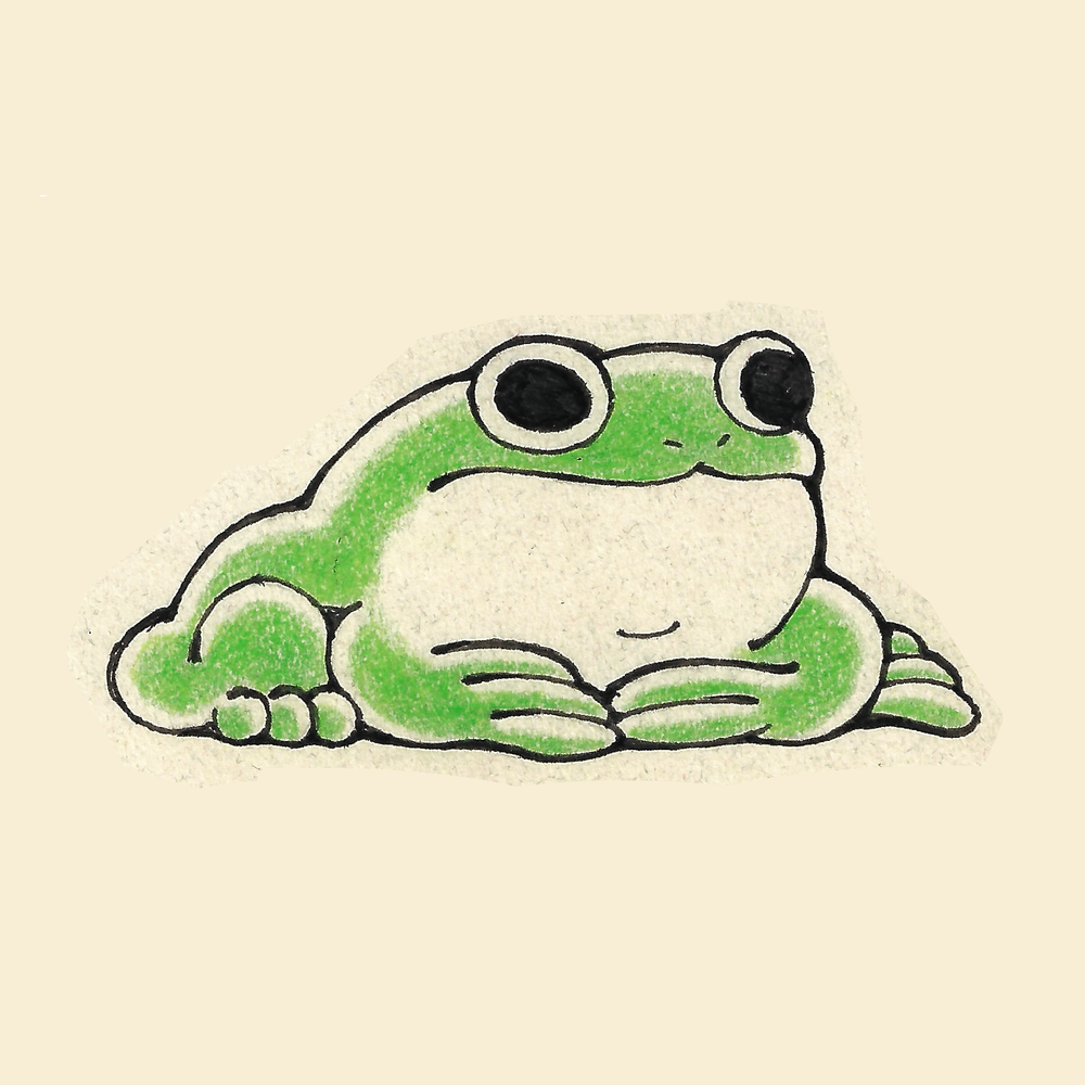 Frog Flash // Full Color
