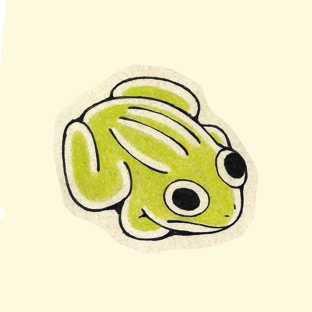 Frog Flash // Full Color