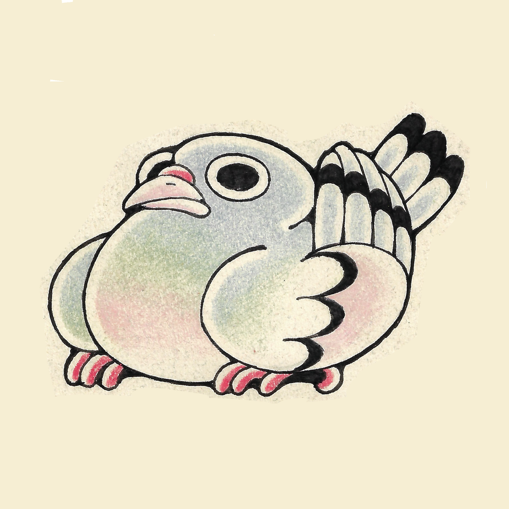 Pigeon Flash // Full Color