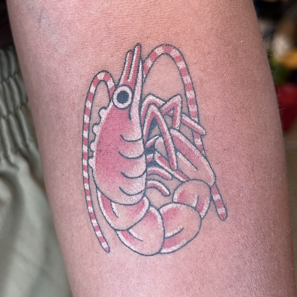 Shrimp Flash