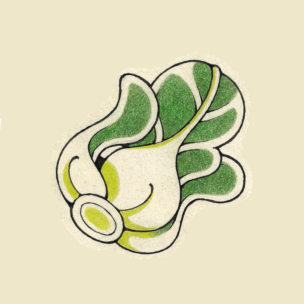 Bok Choy Flash // Full Color