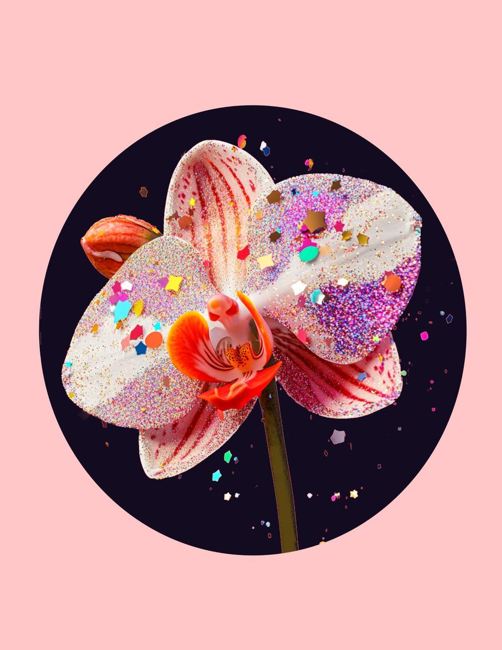 Party Orchid 2