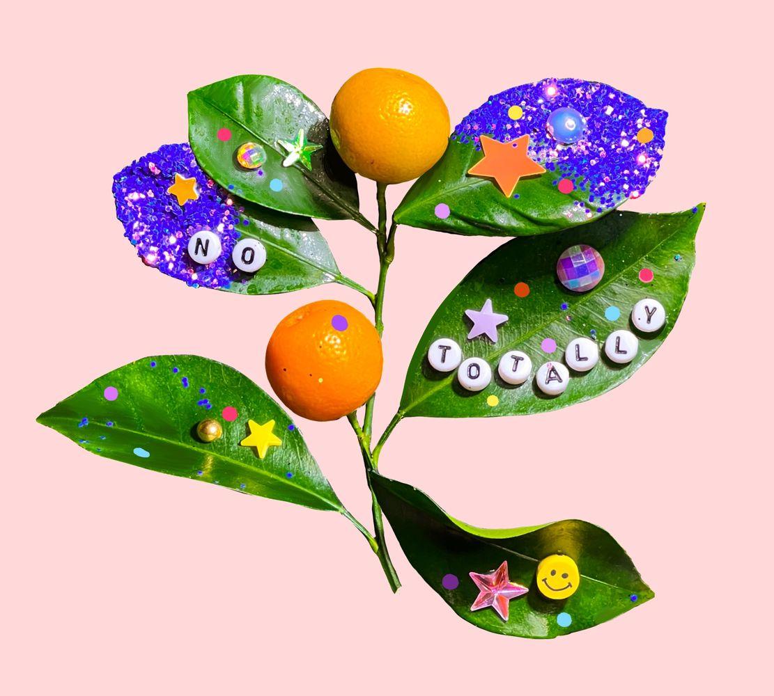 Citrus - No, Totally
