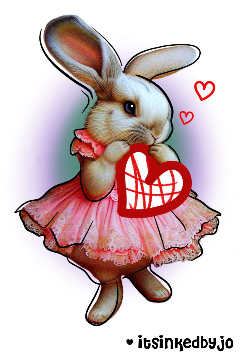 Fancy Rabbit