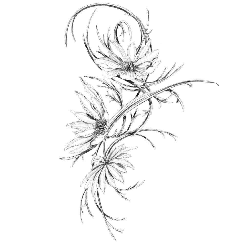 Cosmos 2