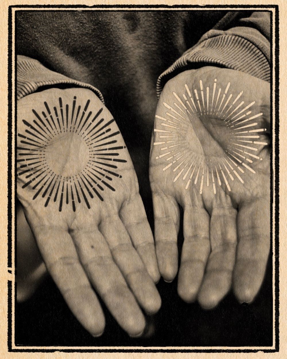 Rays- Palms