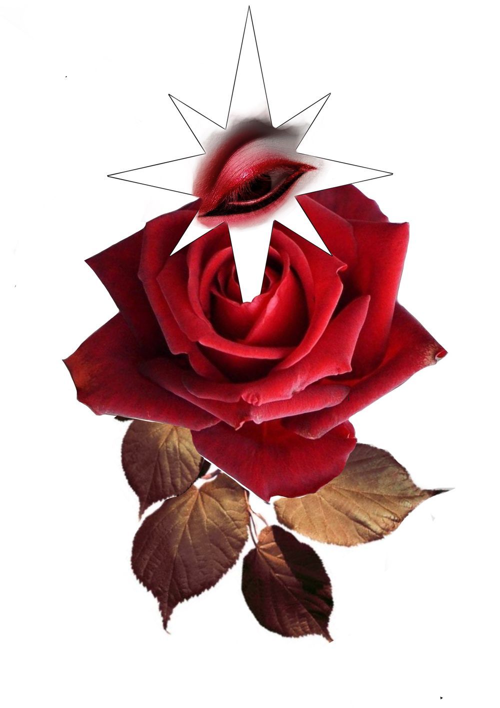 Rose and eye 