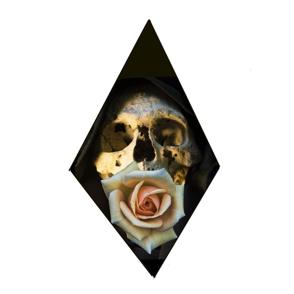 Skull and rose 