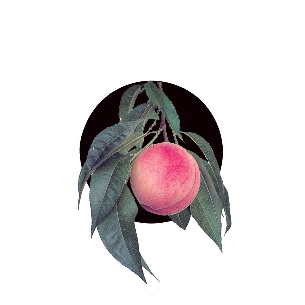 Mini botanicals: peach 