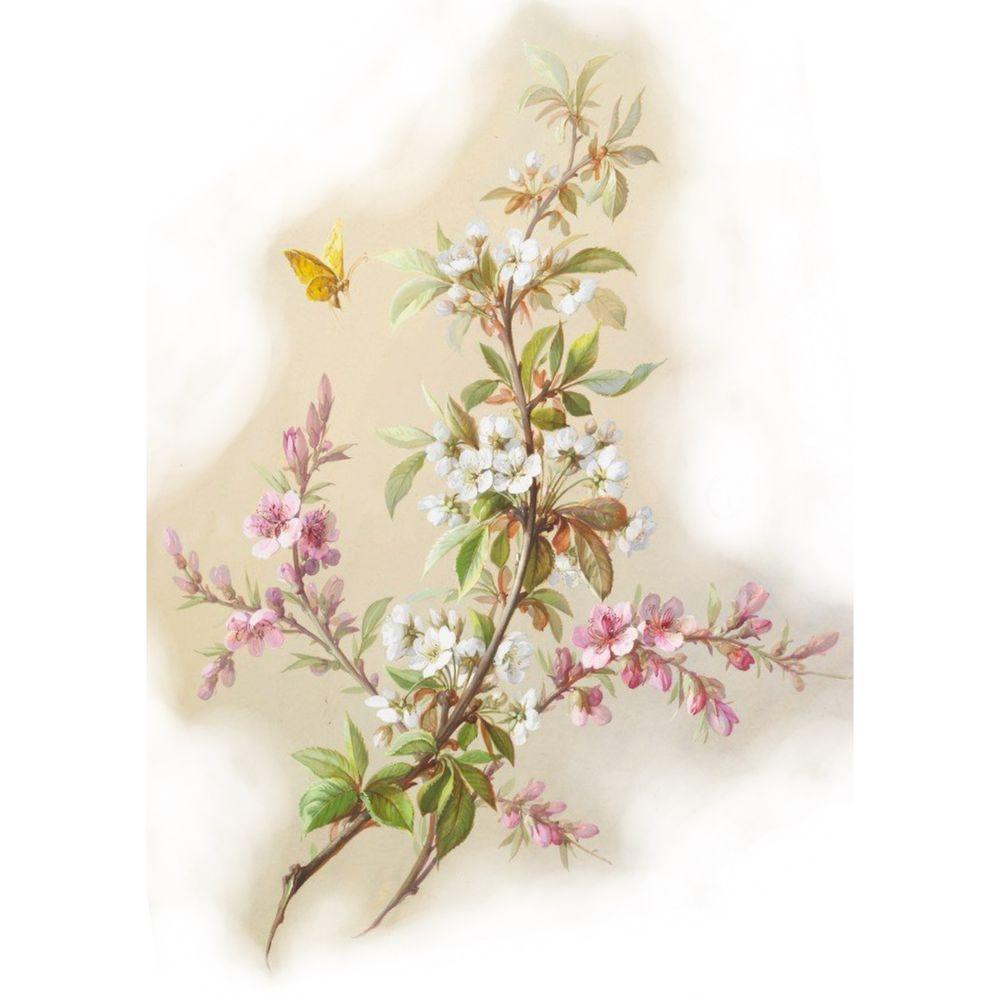 Vintage flowers and butterfly 