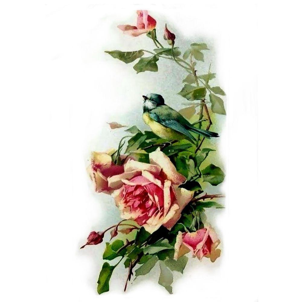 Vintage roses and bird