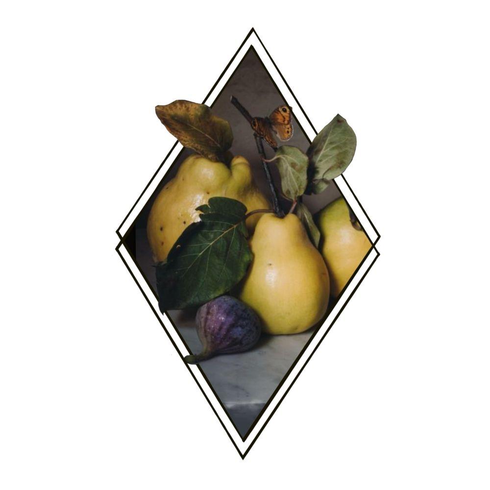 Pears, figs and butterfly