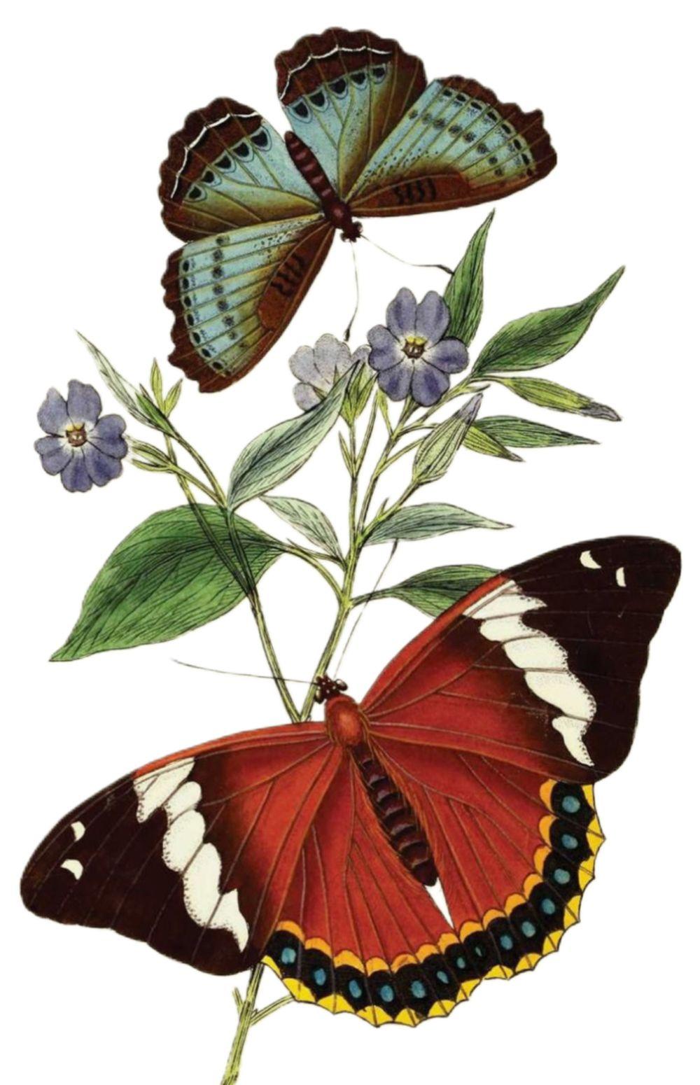 tattoo-image