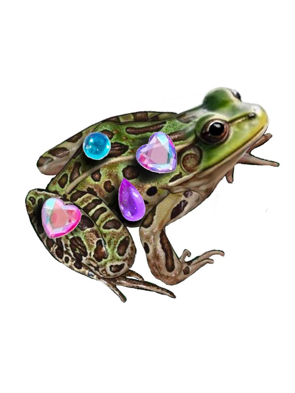 90s Gem frog