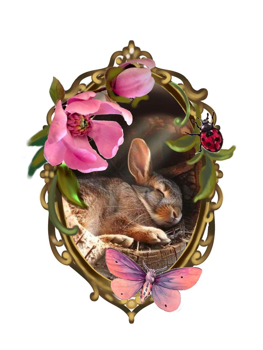 Sleepy Bunny In Frame 