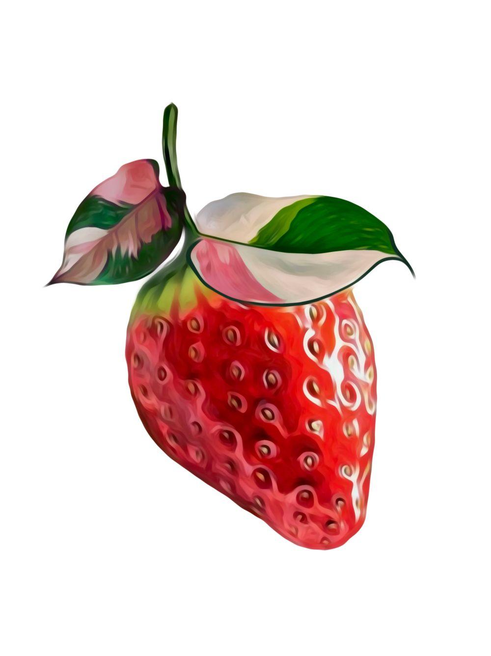 Strawberry with princess leaves 
