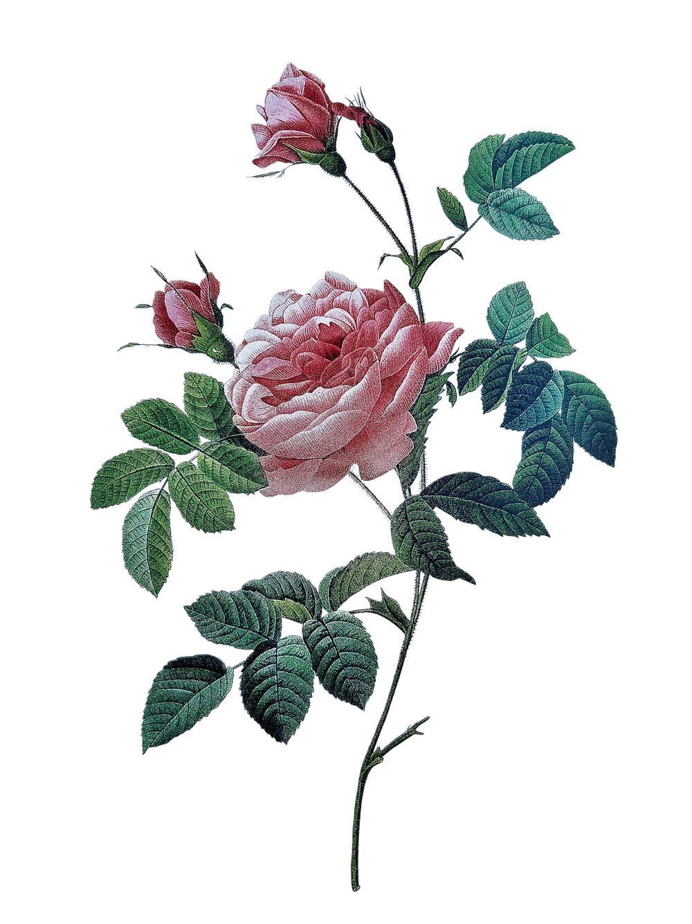 tattoo-image