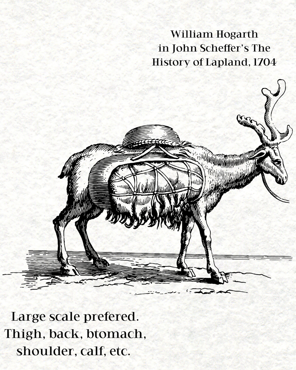 William Hogarth's History of Lapland 