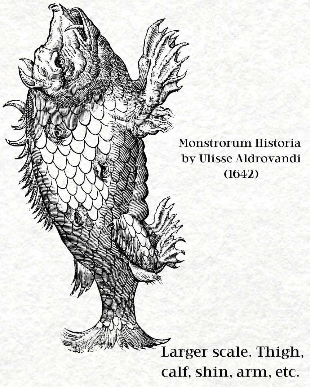  Monstrorum Historia,  Ulisse Aldrovandi 