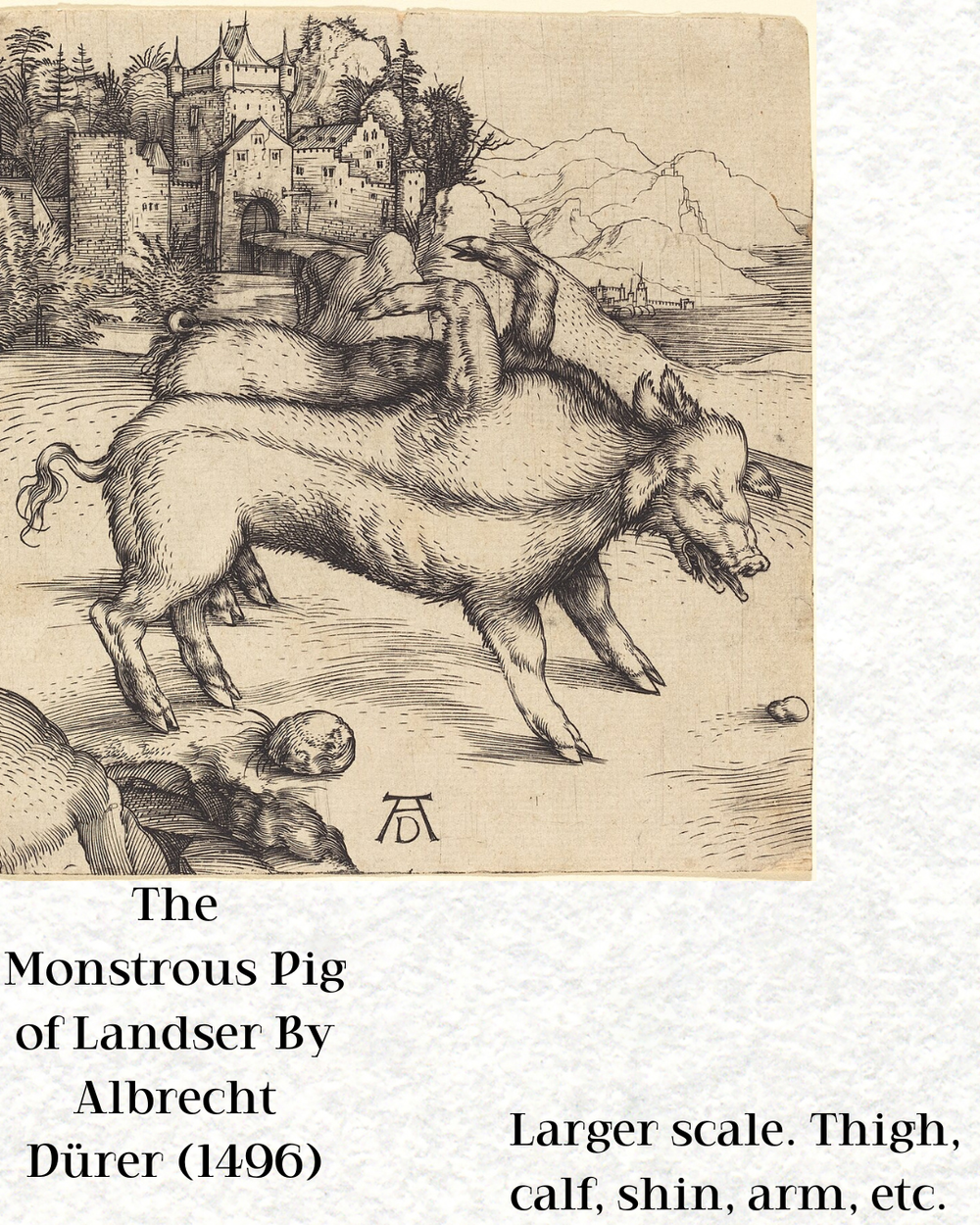 The Monstrous Pig of Landser, Albrecht Dürer
